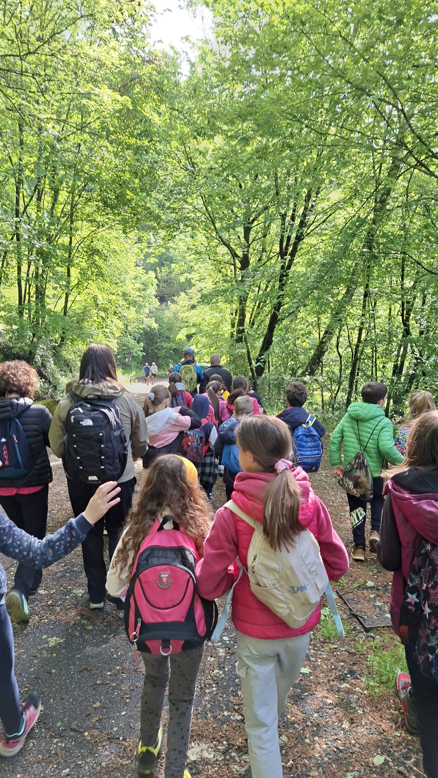 I ragazzi in cammino nei boschi verso il Bus de la Scabla